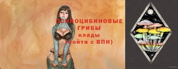 амф Абинск