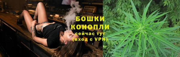 сатива Рославль