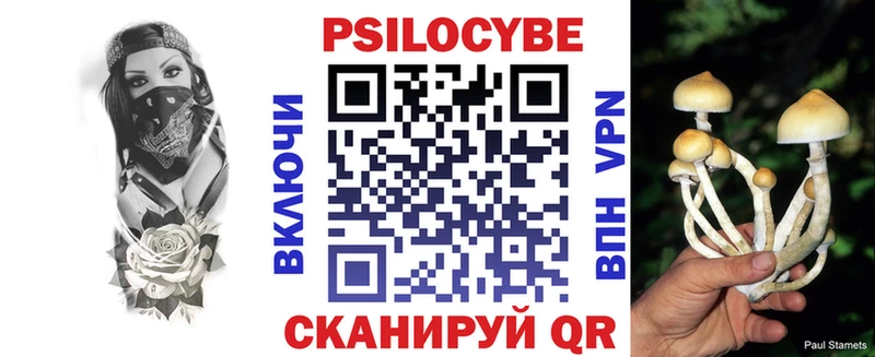 купить наркоту  Алдан  Псилоцибиновые грибы мухоморы 